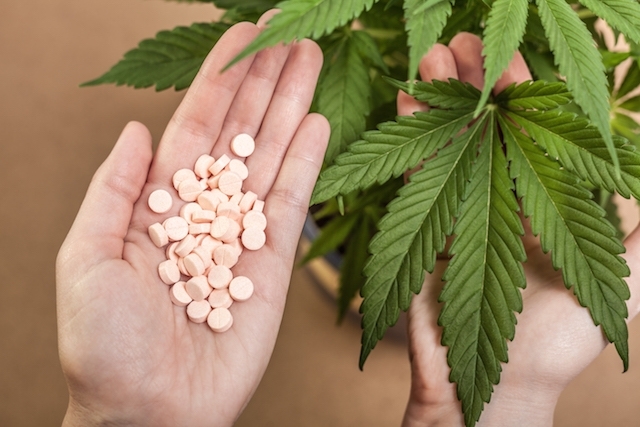 Conheça os efeitos colaterais da maconha no organismo